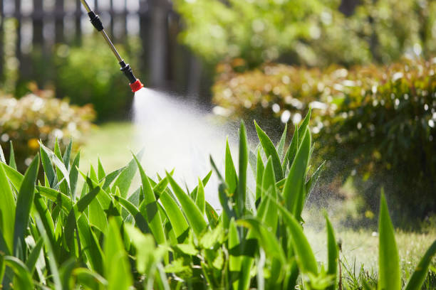 24/7 Emergency Wasp Removal experts in St. Matthews, SC