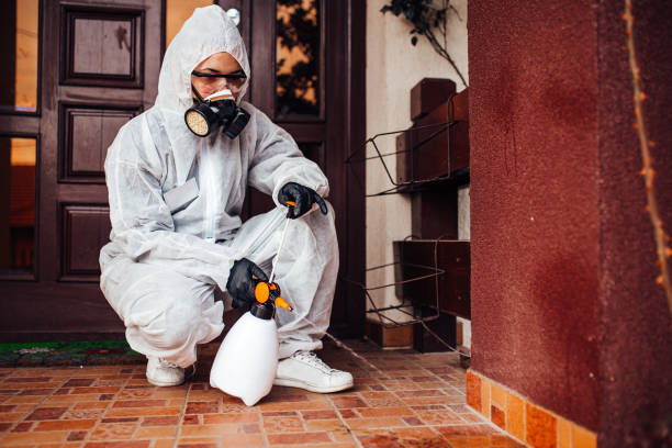 Reliable Wasp Removal contractor in St. Matthews, SC by Show Me Pest Control